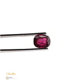 Natural Rhodolite Garnet – Certified by GIA | 5.74 Carats | Purplish Red | Report No. 2486354153